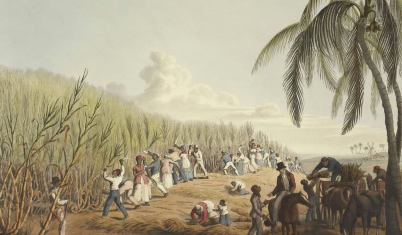 Representación histórica de la esclavitud en América, con esclavizados trabajando en una plantación de caña de azúcar.